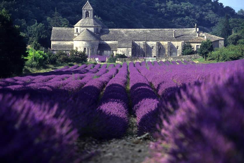 Gite Hanna En Luberon - Le Boisset De St Martin De Castillon Saint-Martin-de-Castillon Exteriér fotografie